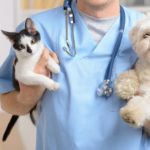 veterinaire avec chat et chien